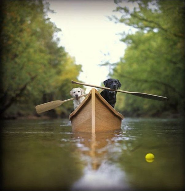 Фото приколы