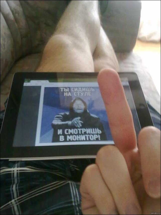 Фото приколы