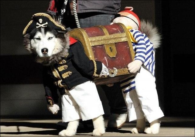 Фото приколы