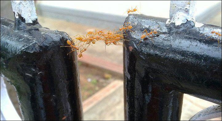 Фото приколы