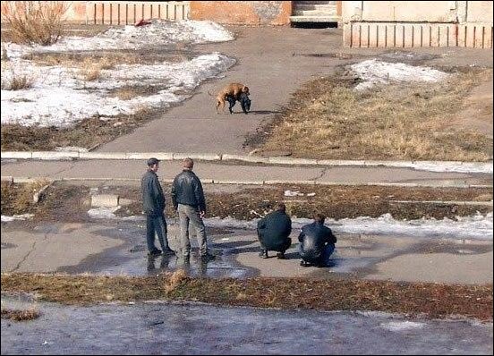 Фото приколы