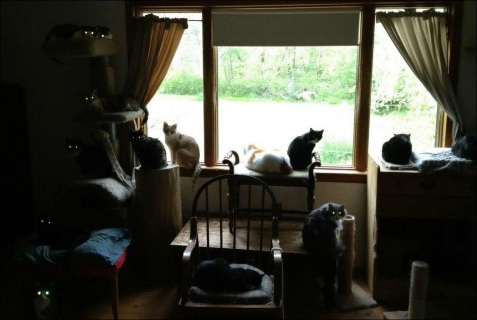 Фото приколы