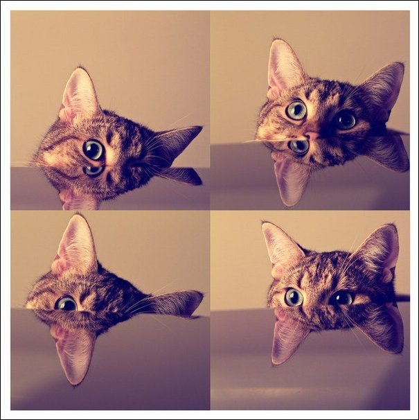 Фото приколы