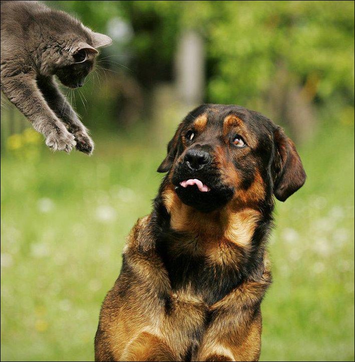 Фото приколы