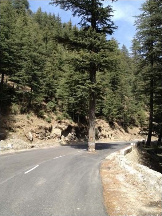 Фото приколы