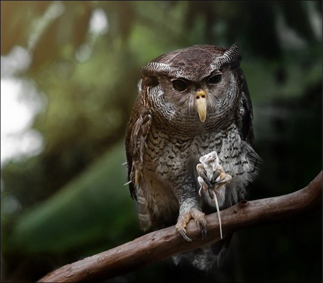 Фото приколы