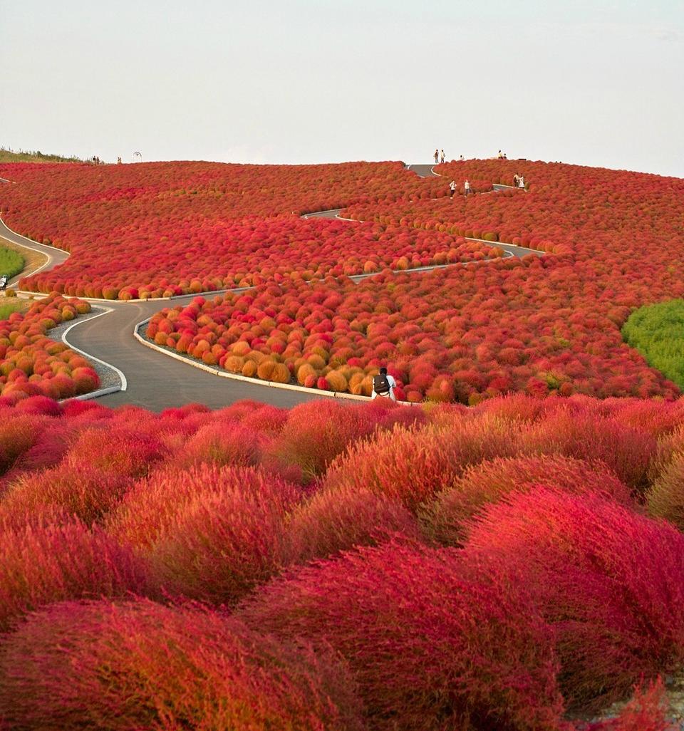 Фото приколы