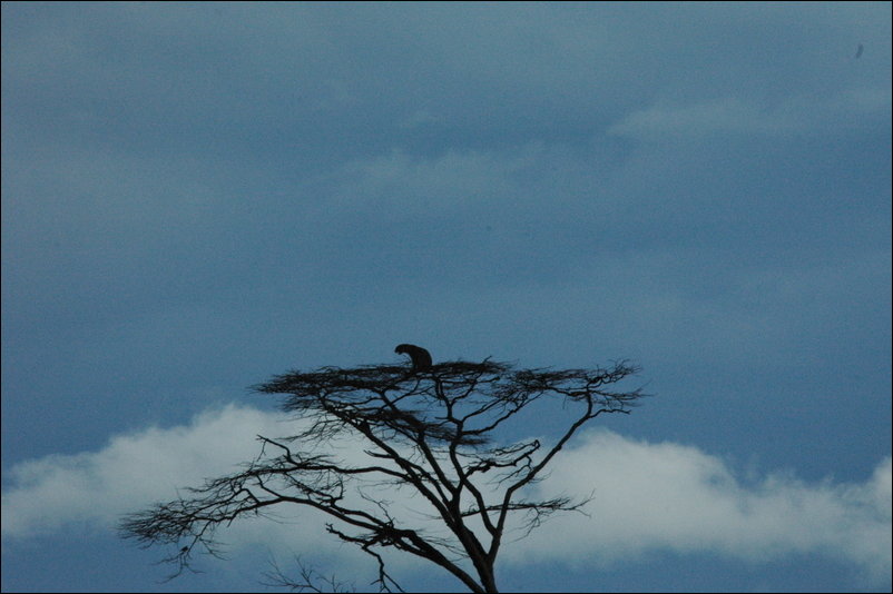 Фото приколы