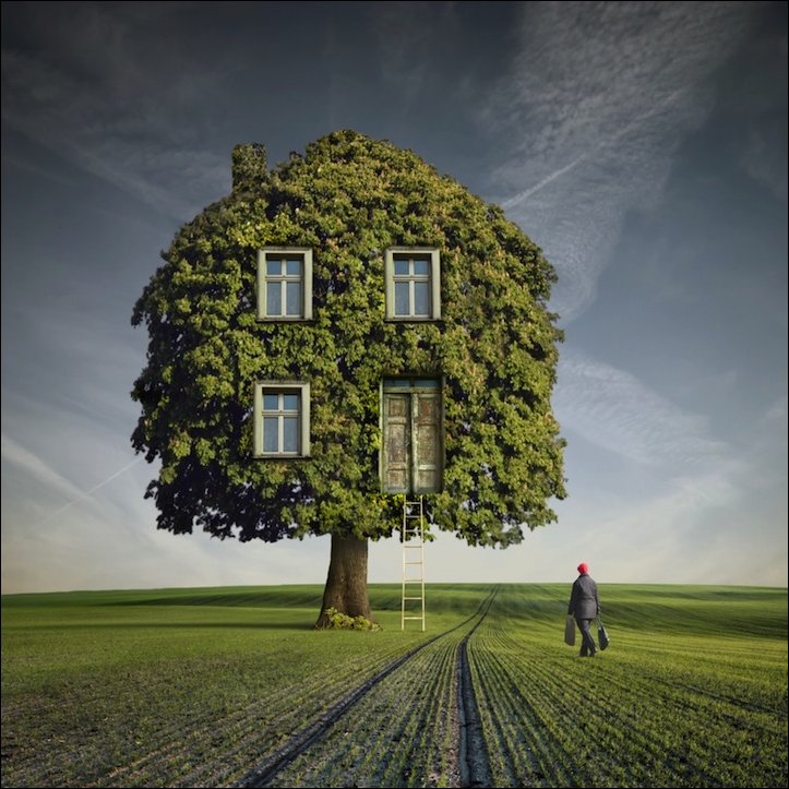 Фото приколы