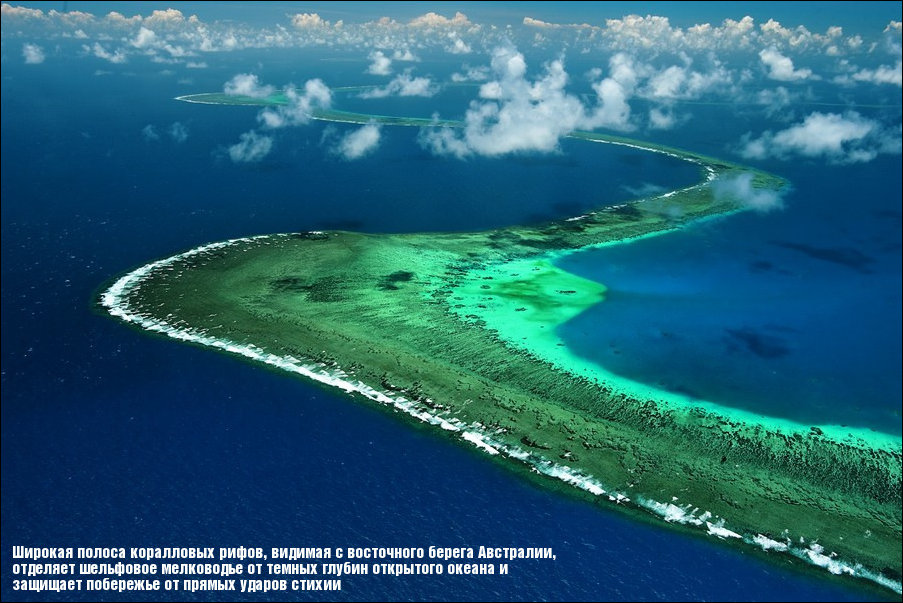 Фото приколы