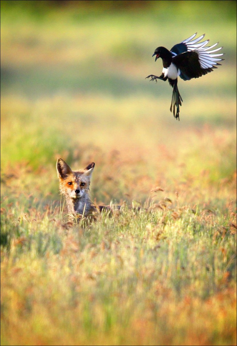 Фото приколы