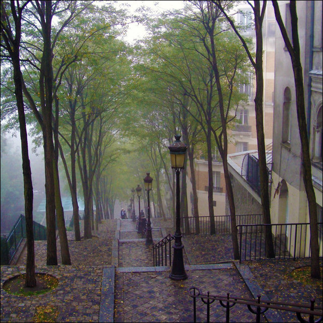 Фото приколы