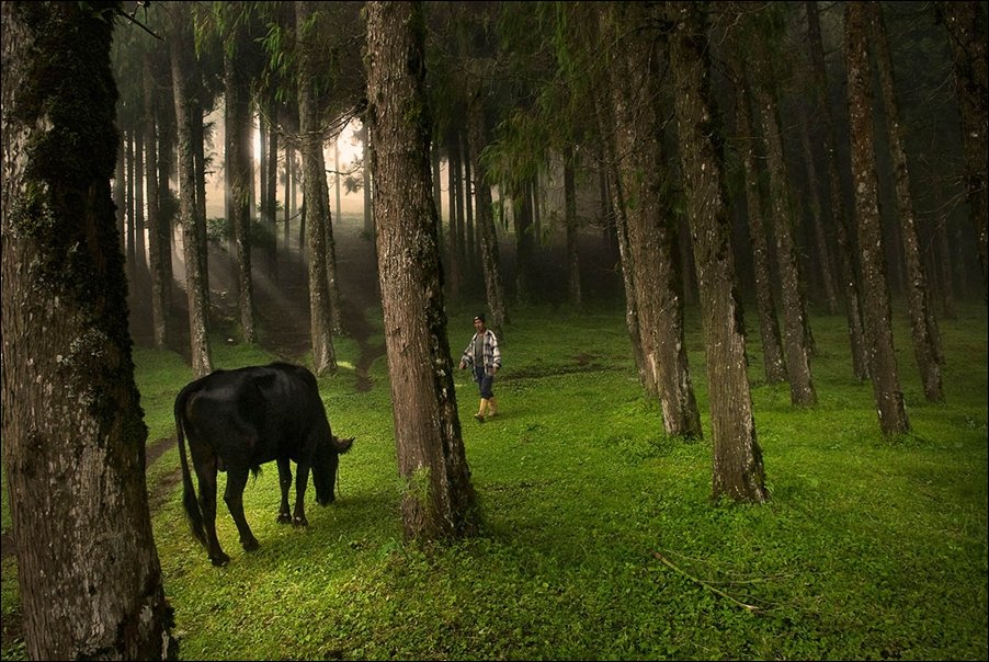 Фото приколы
