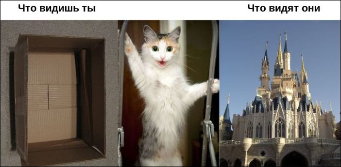 Окружающий мир глазами животных