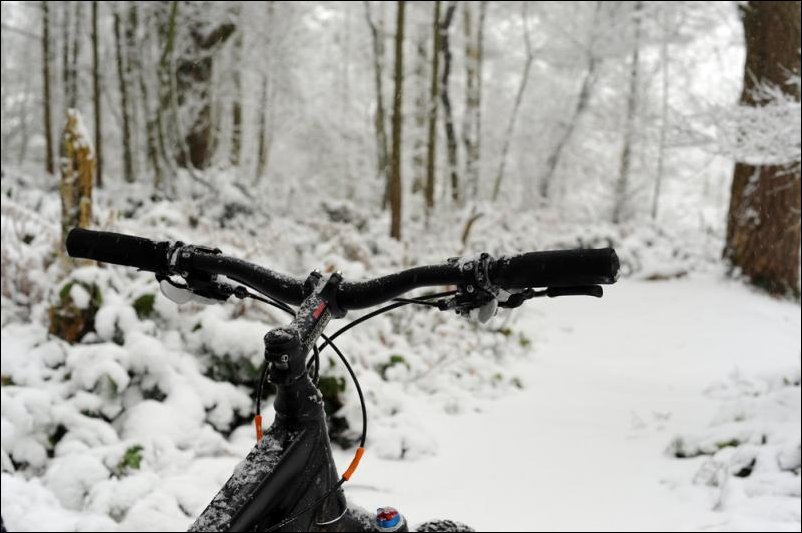 Вид с велосипеда