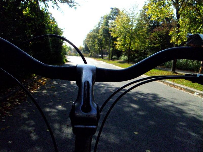 Вид с велосипеда