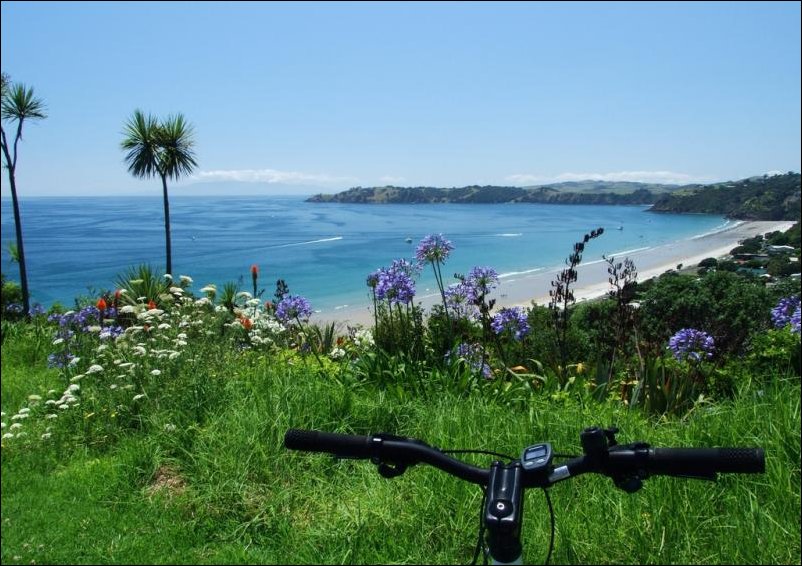 Вид с велосипеда