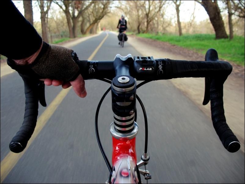 Вид с велосипеда