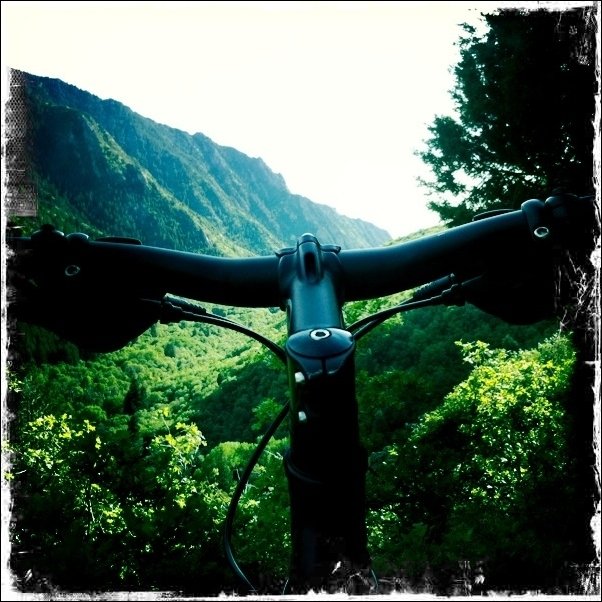 Вид с велосипеда