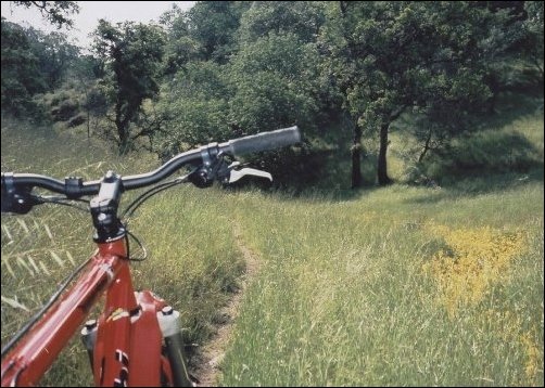 Вид с велосипеда