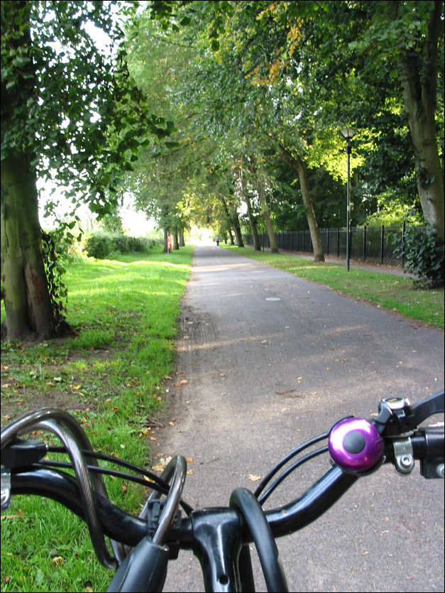 Вид с велосипеда