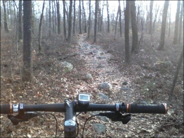 Вид с велосипеда