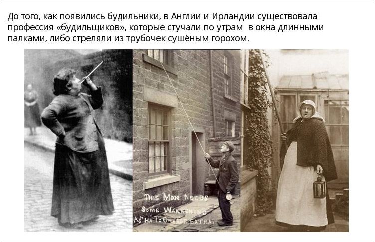 Интересные факты