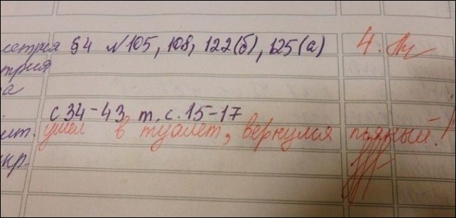 Записи из школьных дневников