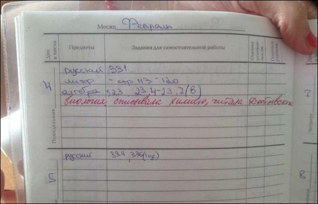 Записи из школьных дневников