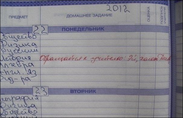 Записи из школьных дневников