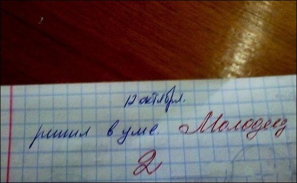 Записи из школьных дневников