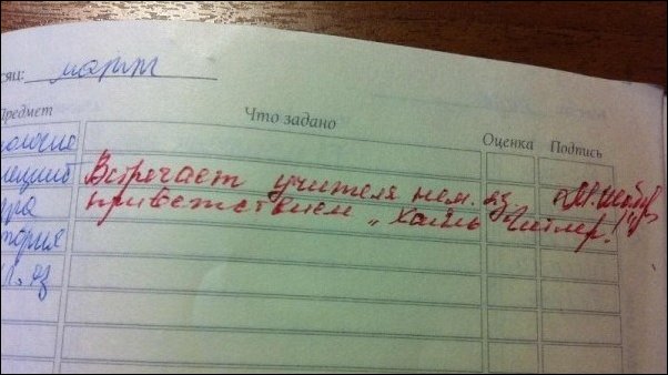 Записи из школьных дневников