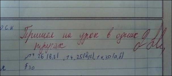 Записи из школьных дневников
