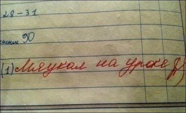 Записи из школьных дневников