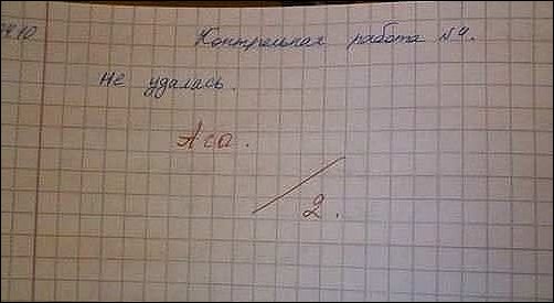 Записи из школьных дневников