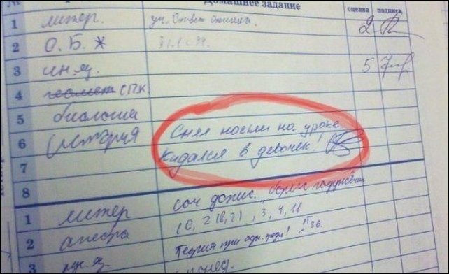 Записи из школьных дневников