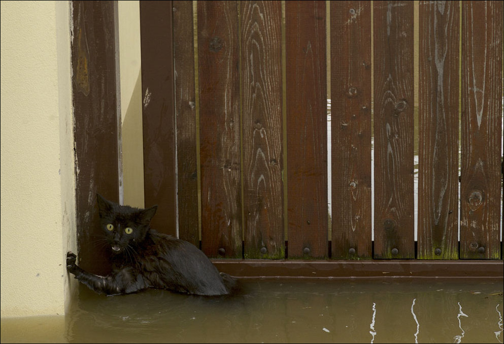 Наводнение в центральной Европе