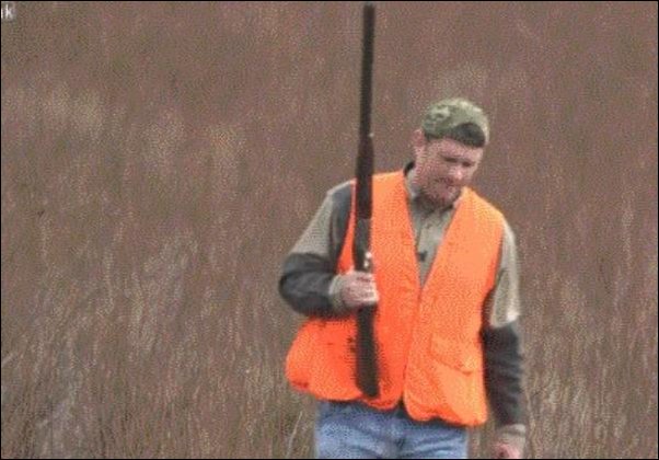 Прикольные гифки