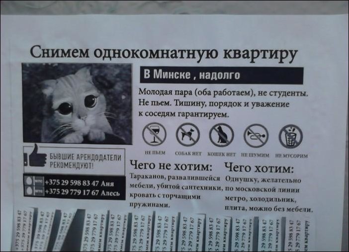 Прикольные надписи и объявления