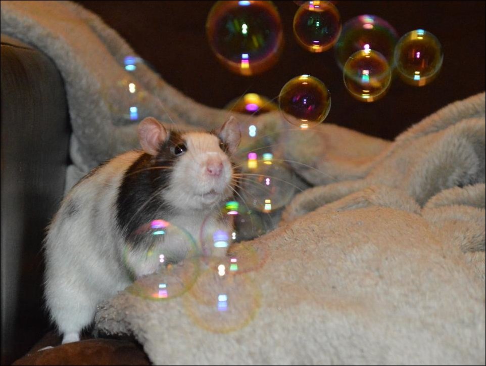 Подборка фотографий