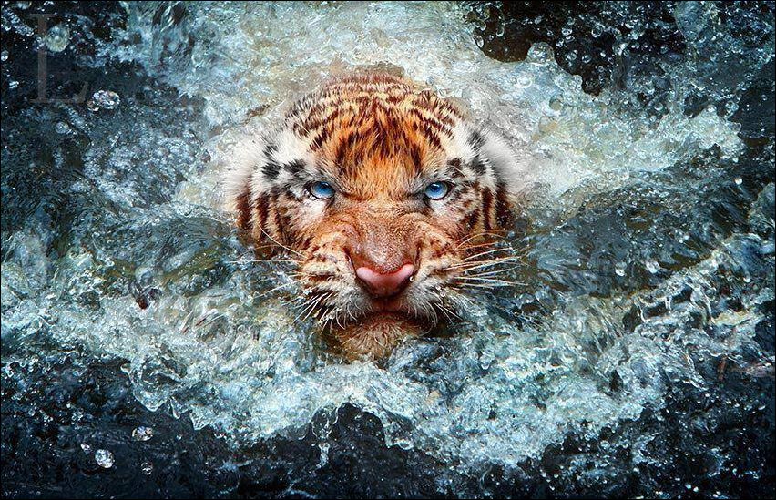 Подборка фотографий