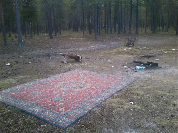 Подборка фотографий