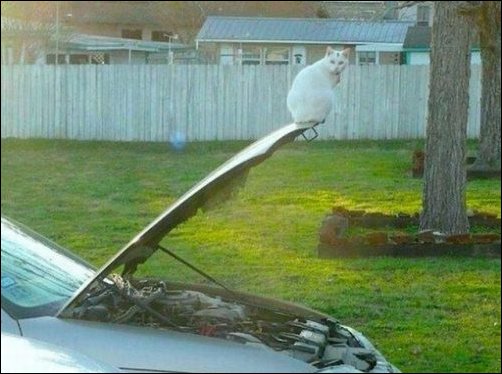 Подборка фотографий