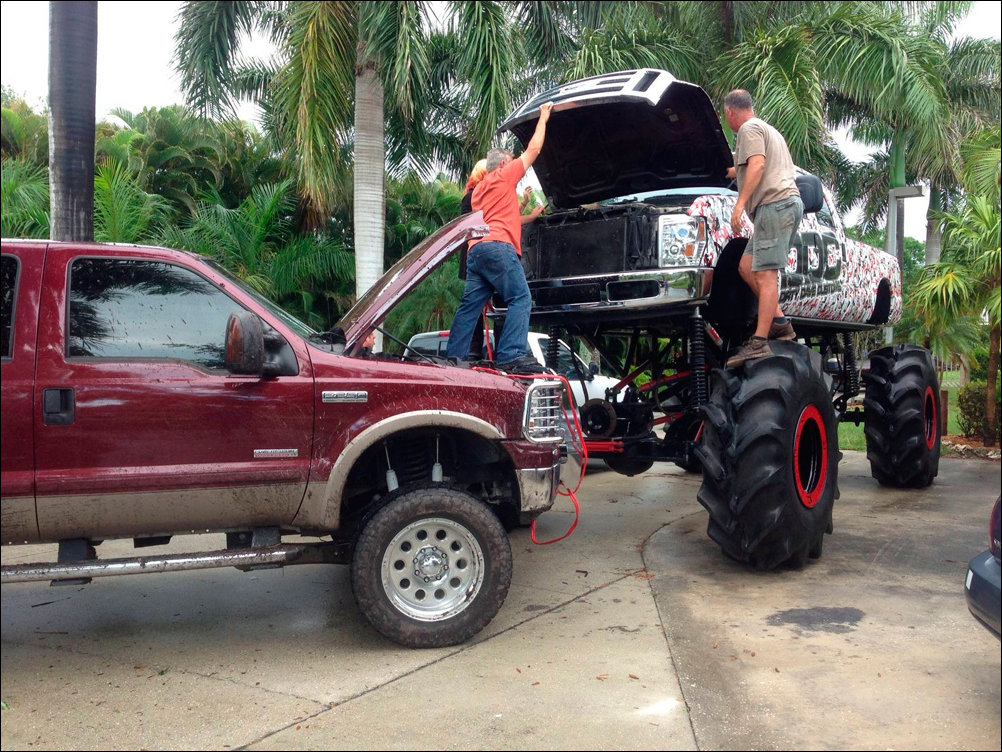 Подборка фотографий