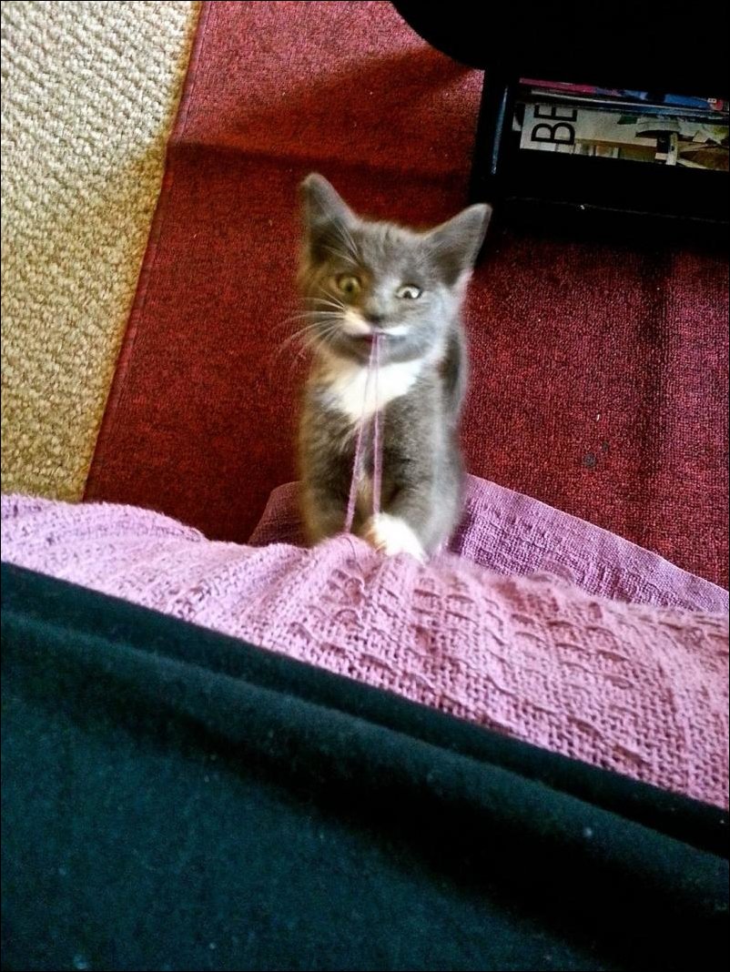 Подборка фотографий