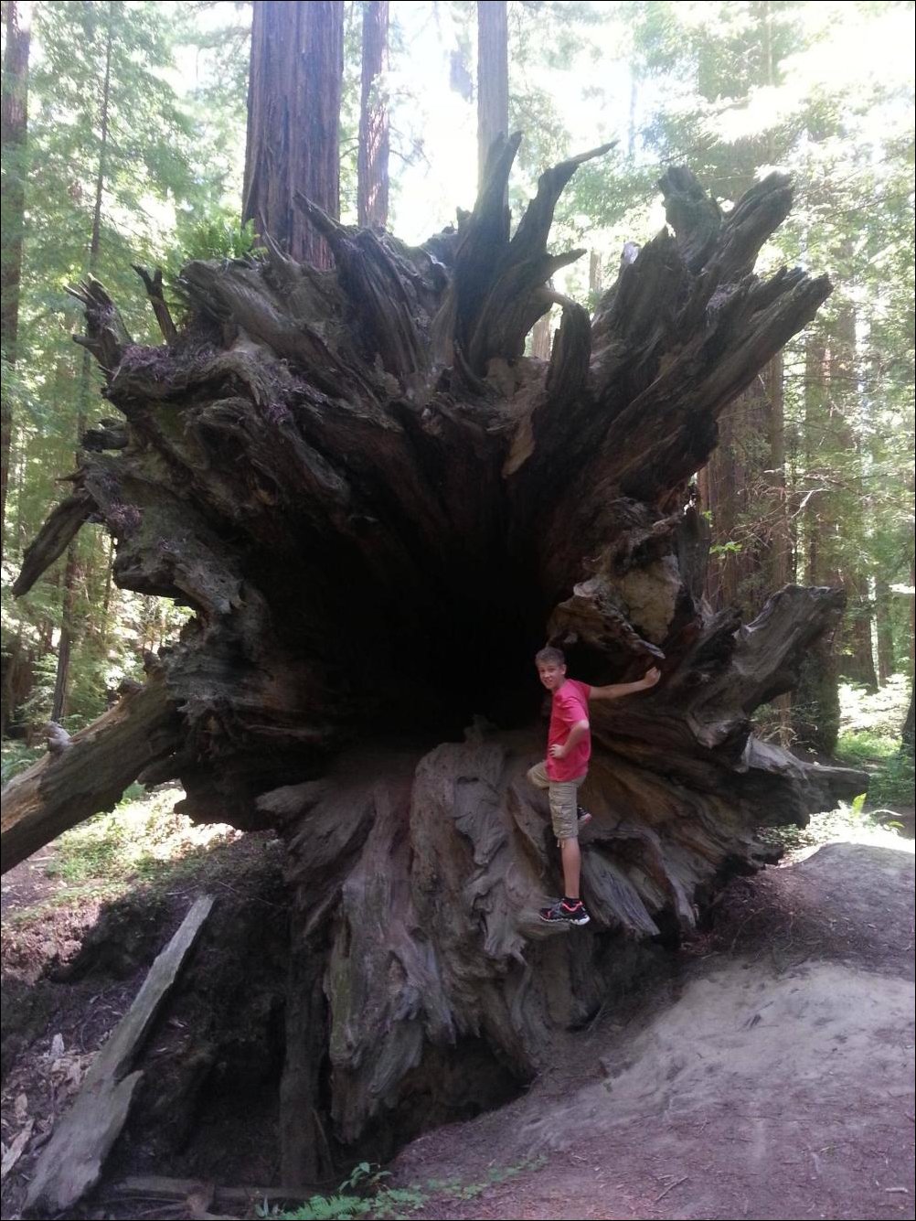 Подборка фотографий