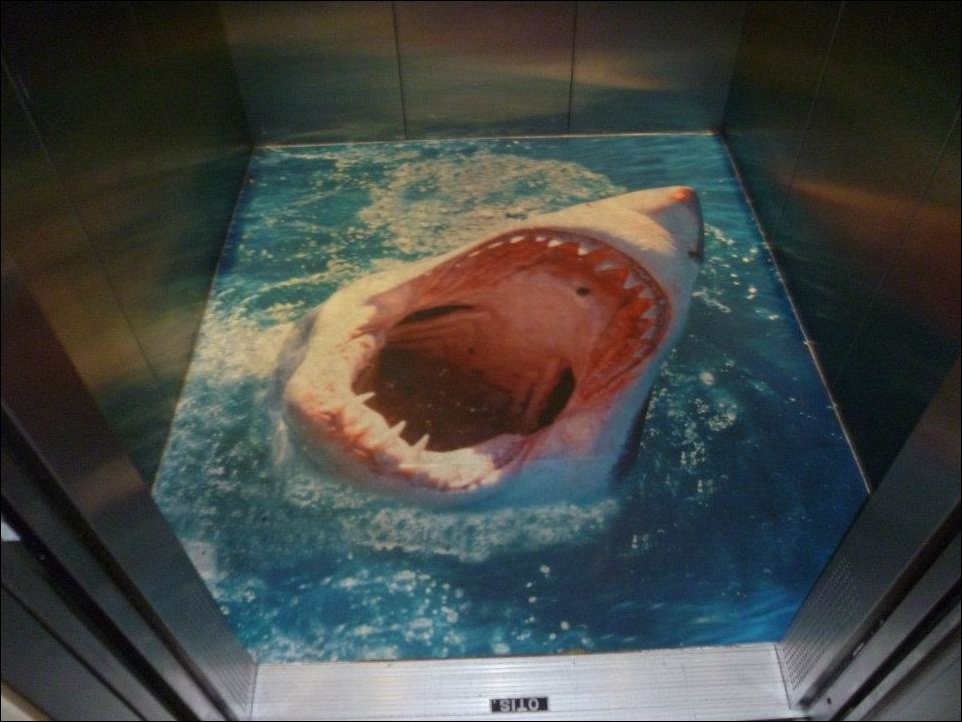 Подборка фотографий