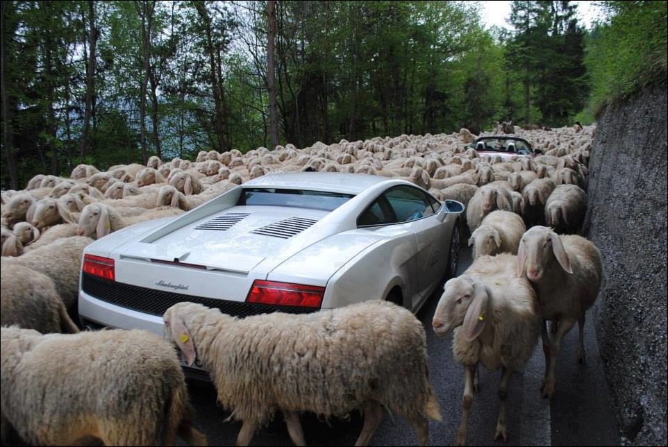 Подборка фотографий