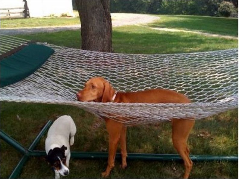 Подборка фотографий