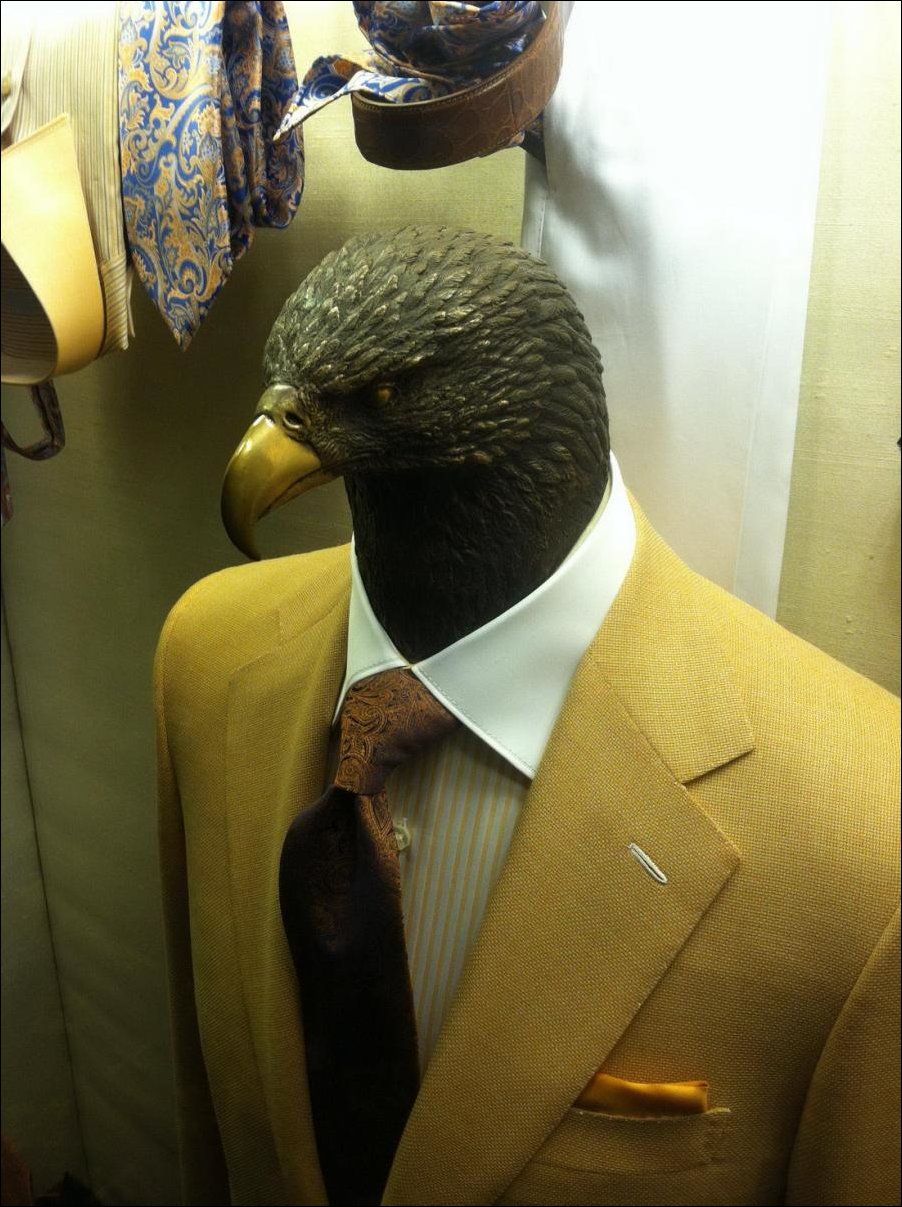 Подборка фотографий